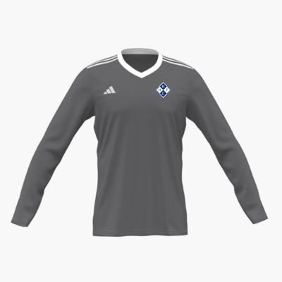 RHTC Rheine adidas MT23 TW Trikot - grau
